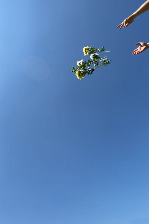 Hands throw flowers into blue sky