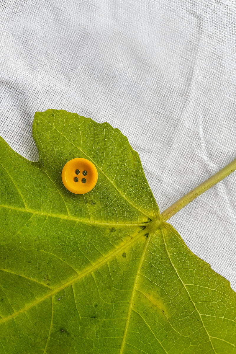 Deidei corozo button on a leaf and white linen