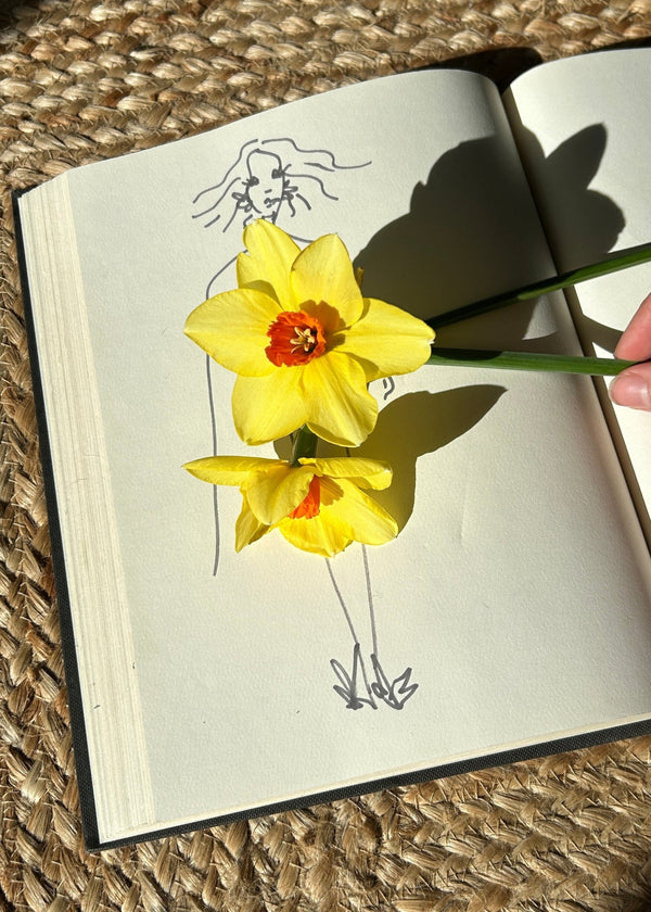 Yellow flower held over an open book with a drawing of a flower on a textured surface